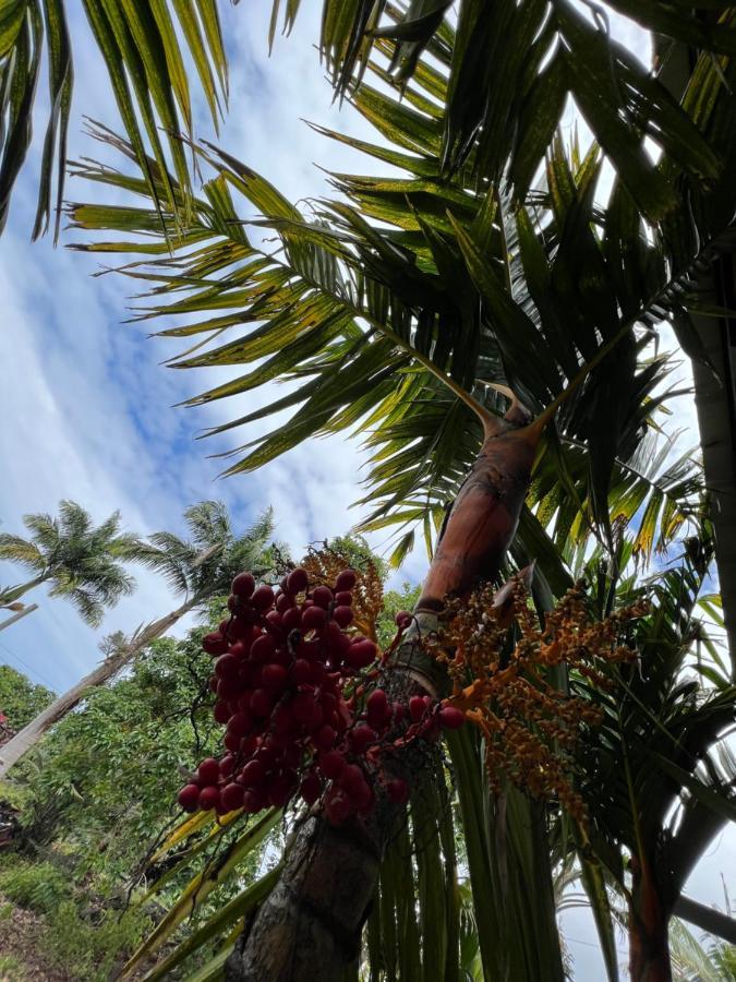 Villa Hawaii Getaway Holualoa Exterior foto